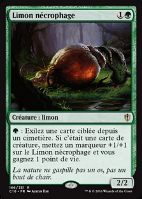 Limon nécrophage [FR]