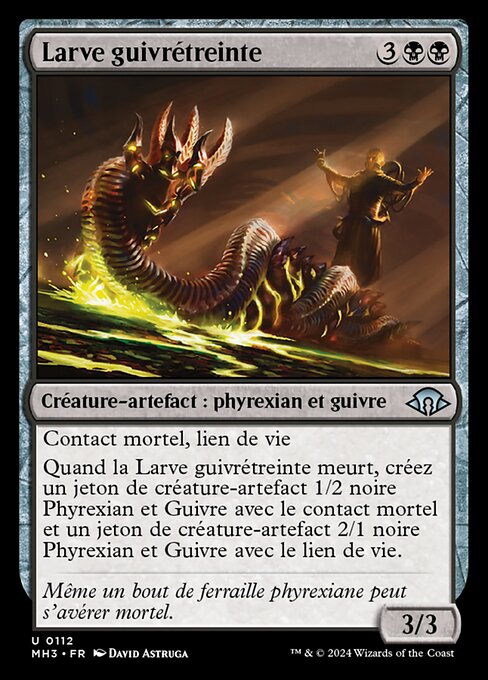 Larve guivrétreinte [FR]