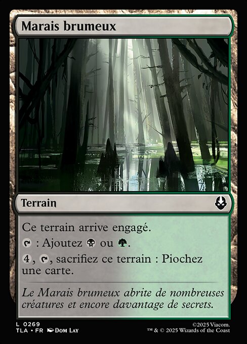 Marais brumeux [FR]