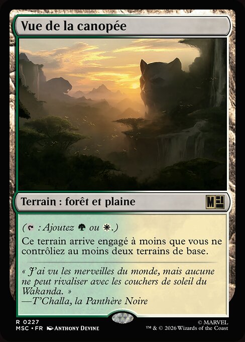 Vue de la canopée [FR]