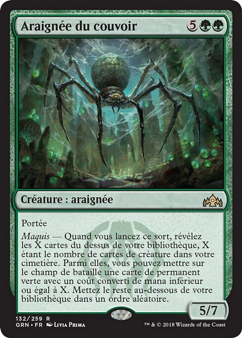 Araignée du couvoir [FR]