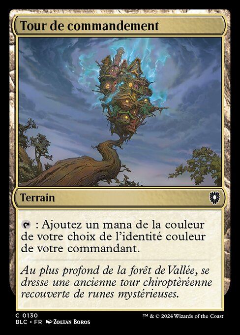 Tour de commandement [FR]