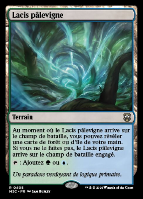 Lacis pâlevigne [FR]