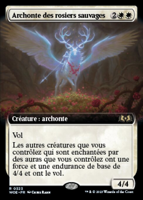 Archonte des rosiers sauvages [FR]