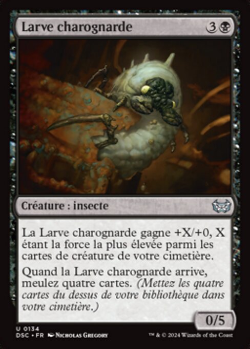 Larve charognarde [FR]