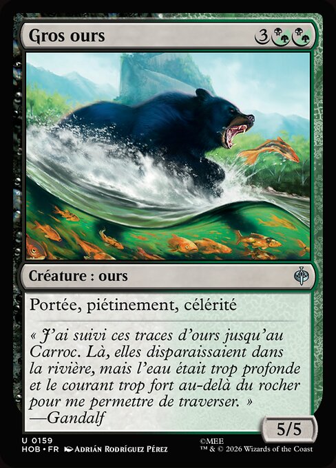 Gros ours [FR]