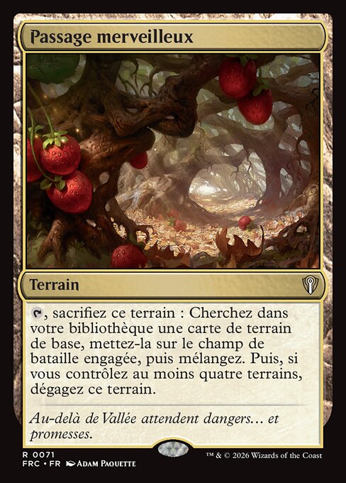 Passage merveilleux [FR]