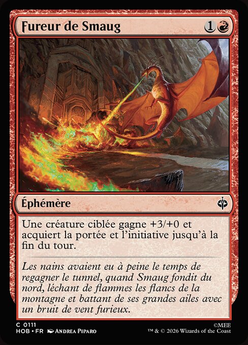 Fureur de Smaug [FR]