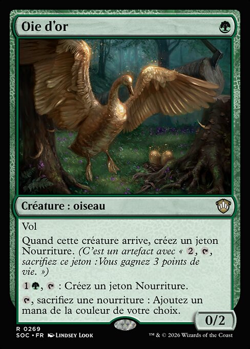 Oie d'or [FR]