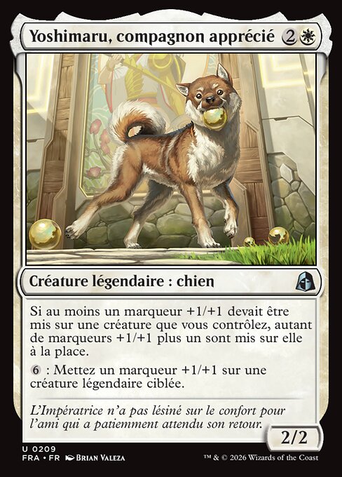 Yoshimaru, compagnon apprécié [FR]