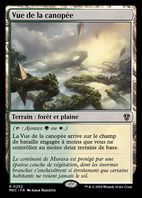 Vue de la canopée [FR]