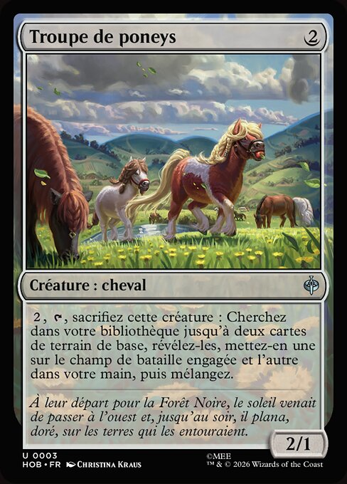 Troupe de poneys [FR]