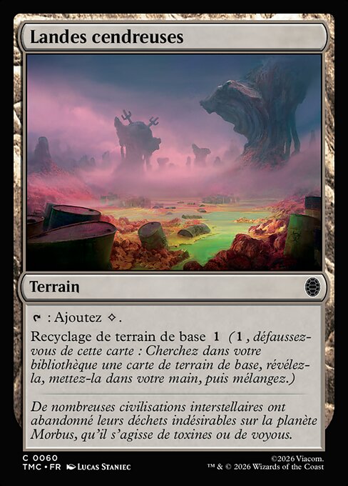 Landes cendreuses [FR]