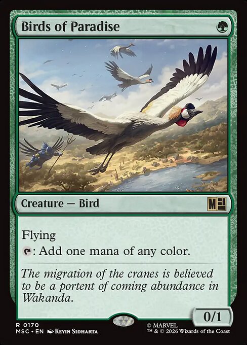 Oiseaux de paradis [FR]