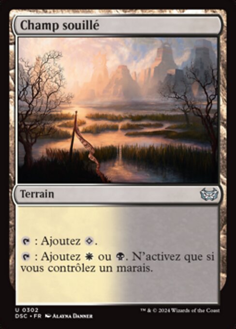Champ souillé [FR]