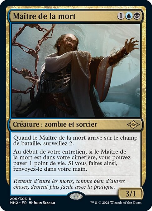 Maître de la mort [FR]