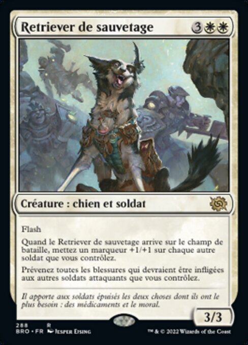 Retriever de sauvetage [FR]