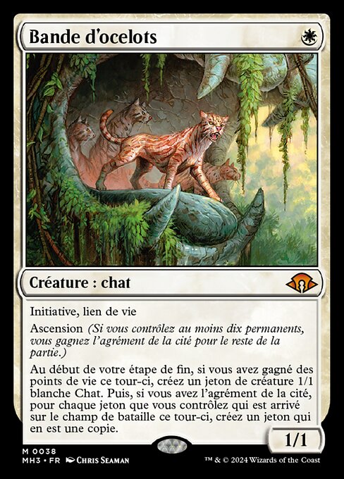 Bande d'ocelots [FR]