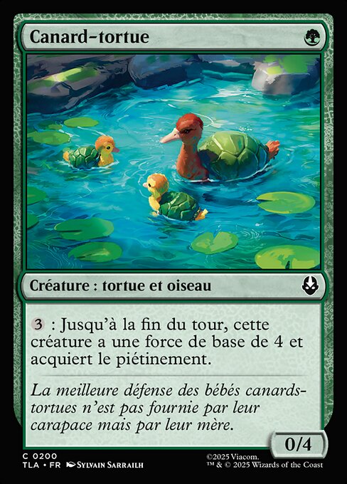Canard-tortue [FR]