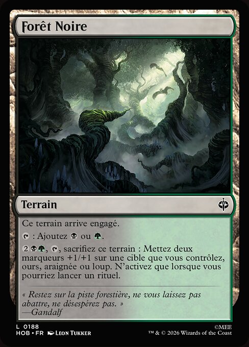 Forêt Noire [FR]