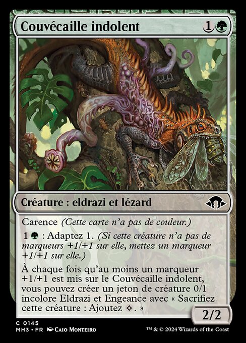 Couvécaille indolent [FR]