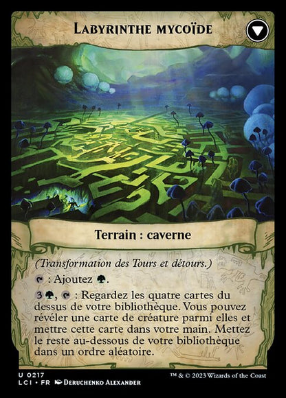 Tours et détours // Labyrinthe mycoïde [FR]