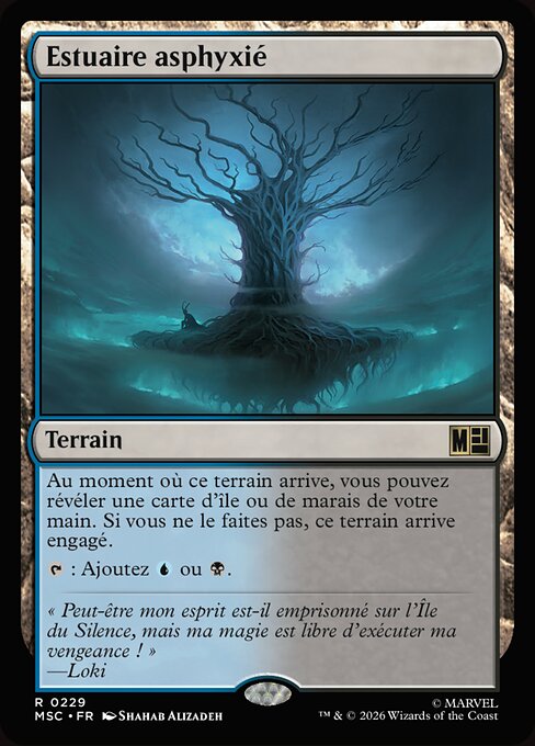 Estuaire asphyxié [FR]