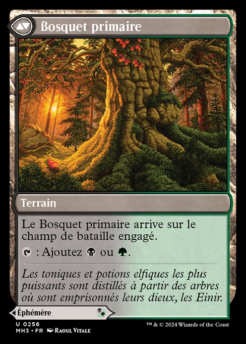 Repas revitalisant // Bosquet primaire [FR]