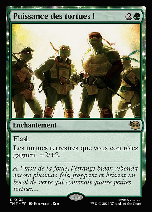 Puissance des tortues ! [FR]
