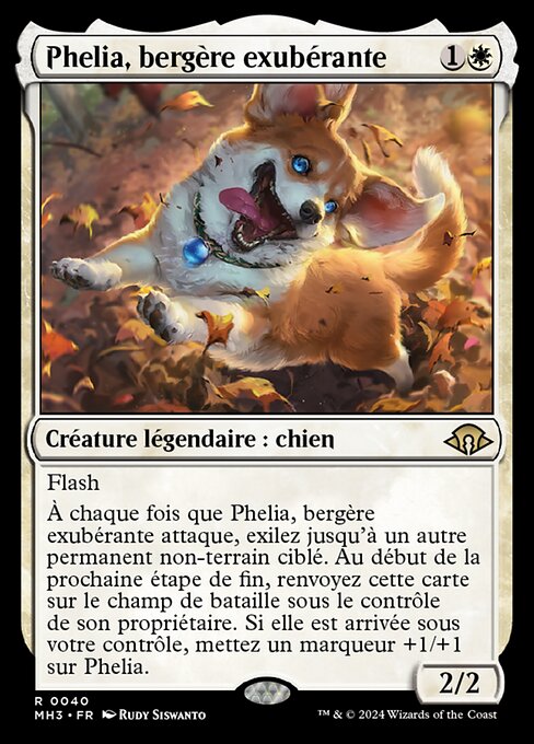 Phelia, bergère exubérante [FR]