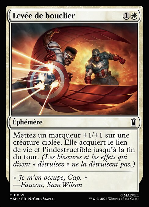 Levée de bouclier [FR]