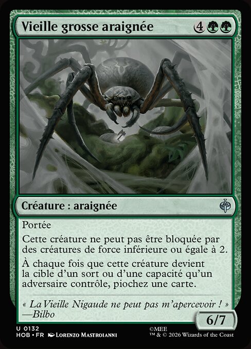 Vieille grosse araignée [FR]