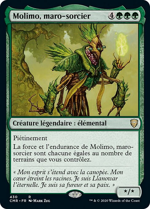 Molimo, maro-sorcier [FR]
