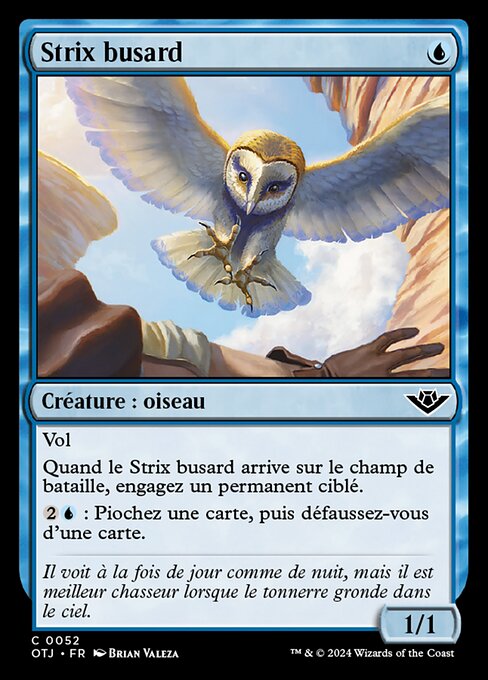 Strix busard [FR]