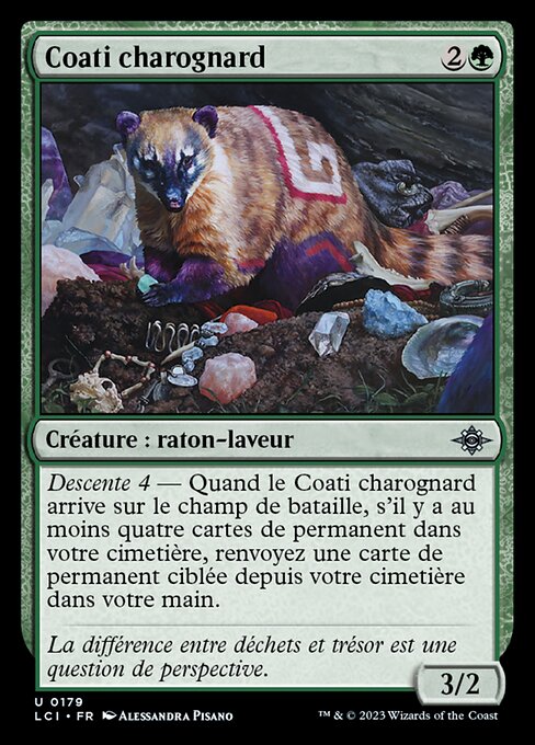 Coati charognard [FR]