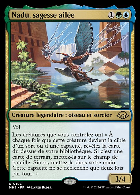 Nadu, sagesse ailée [FR]
