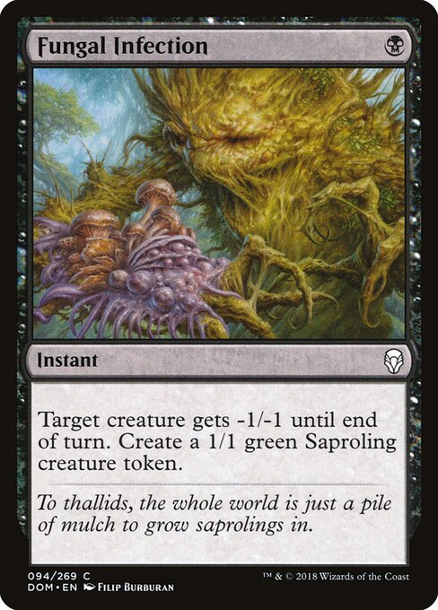 Fungal Infection [EN]