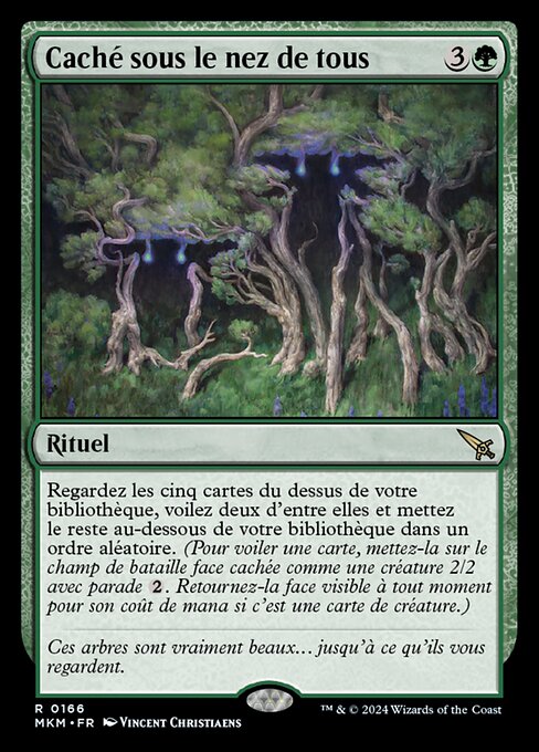 Caché sous le nez de tous [FR]