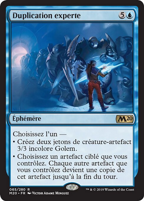 Duplication experte [FR]