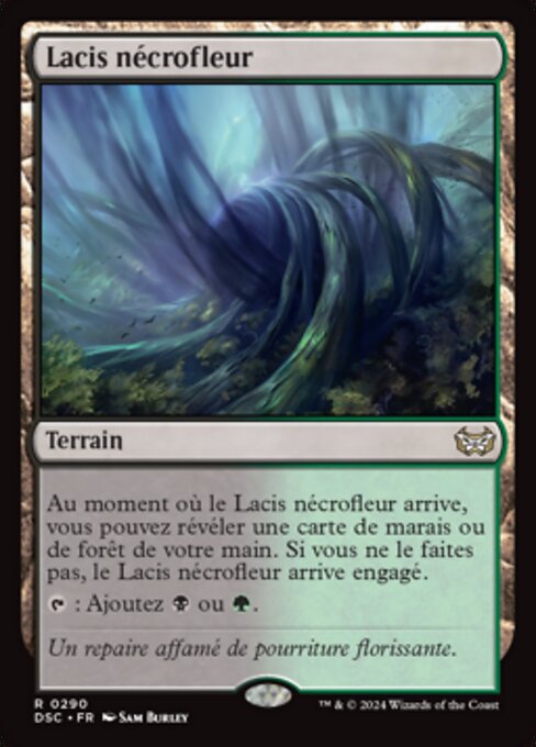 Lacis nécrofleur [FR]