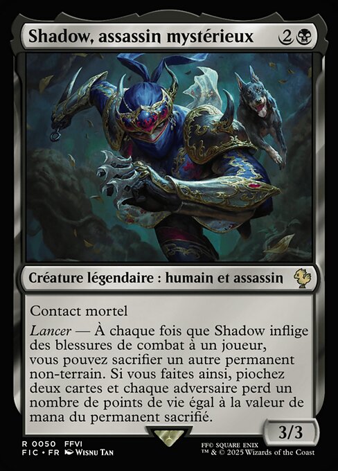 Shadow, assassin mystérieux [FR]