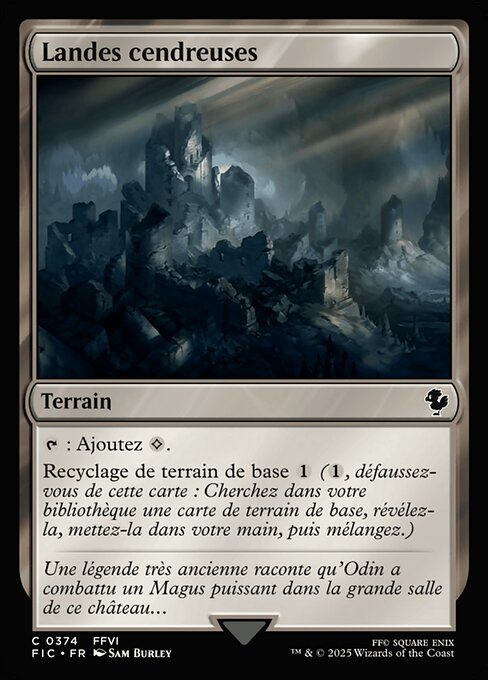 Landes cendreuses [FR]