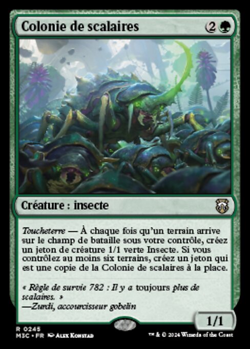 Colonie de scalaires [FR]