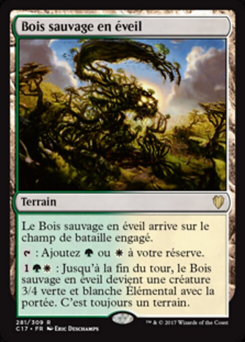 Bois sauvage en éveil [FR]