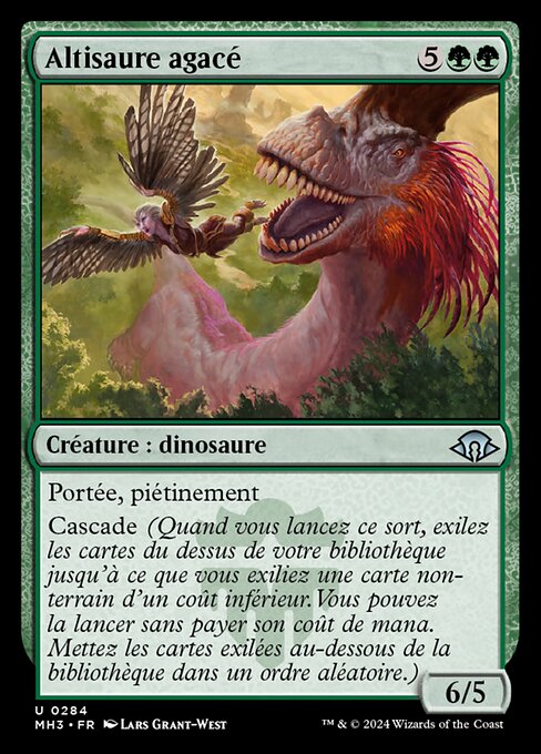 Altisaure agacé [FR]