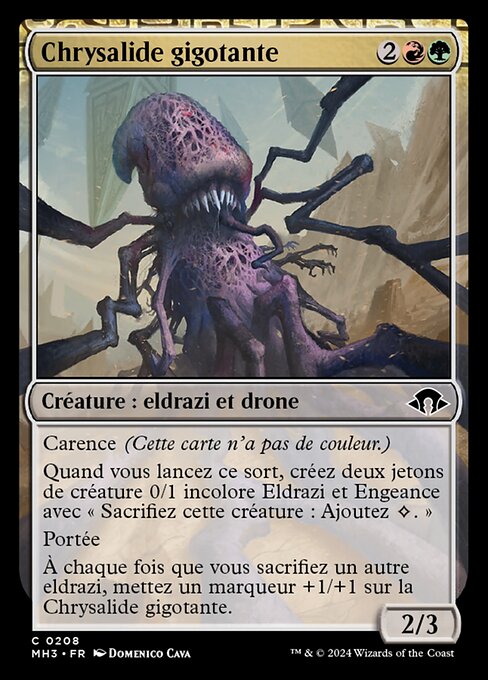 Chrysalide gigotante [FR]