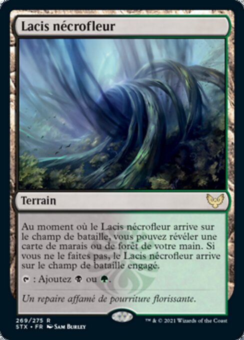 Lacis nécrofleur [FR]