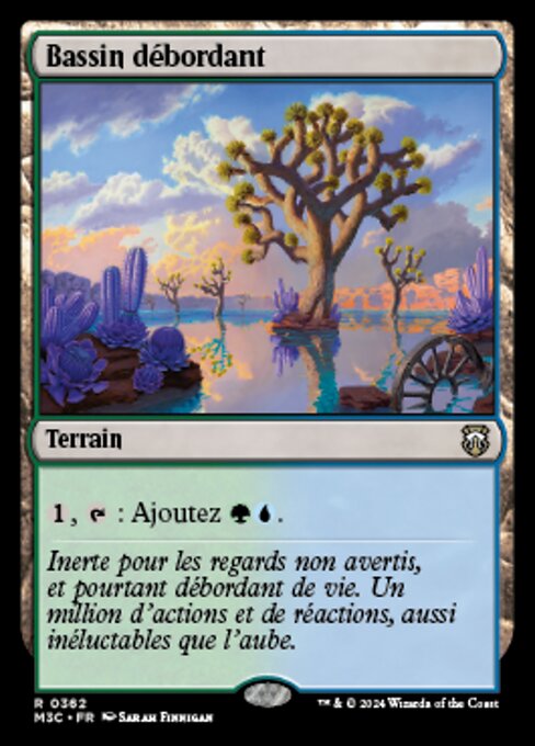 Bassin débordant [FR]