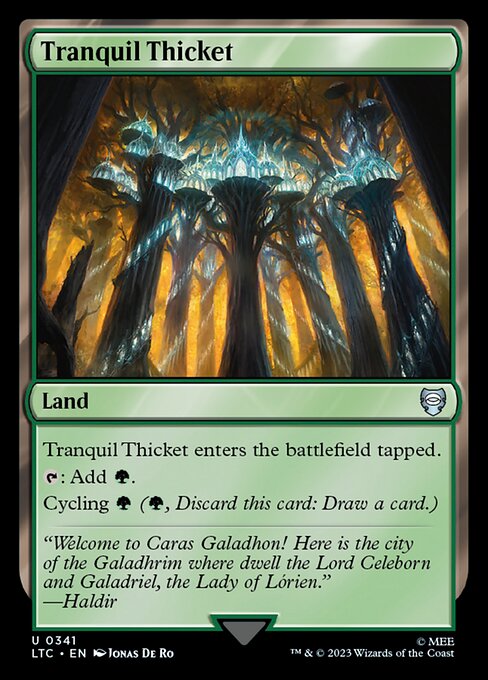 Tranquil Thicket [EN]