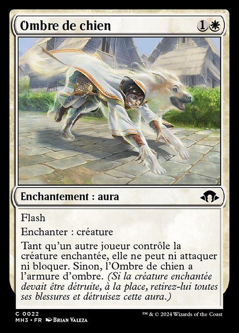 Ombre de chien [FR]